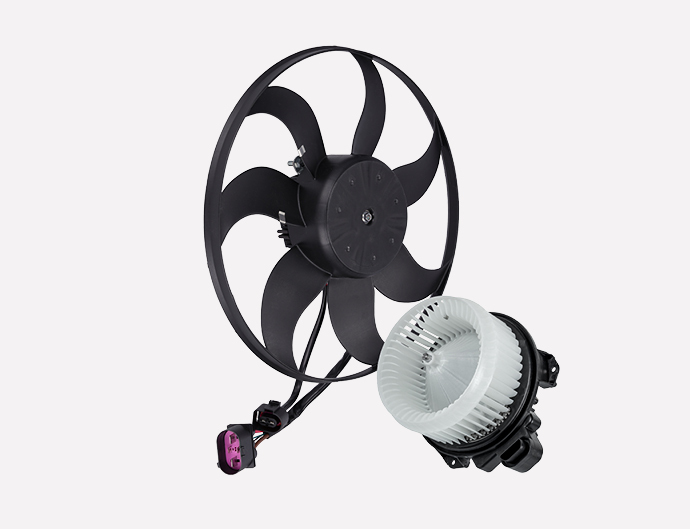 a selection of fans